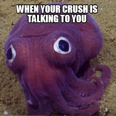 when-your-crush-is-talking-to-you1