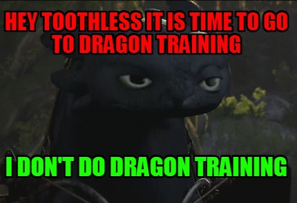 hey-toothless-it-is-time-to-go-to-dragon-training-i-dont-do-dragon-training