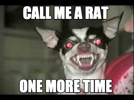 call-me-a-rat-one-more-time