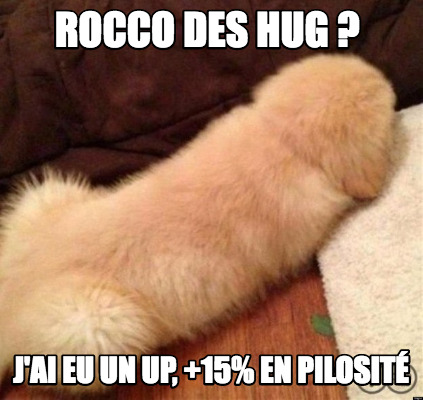 rocco-des-hug-jai-eu-un-up-15-en-pilosit