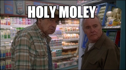 Meme Creator - Funny HOLY MOLEY Meme Generator at MemeCreator.org!