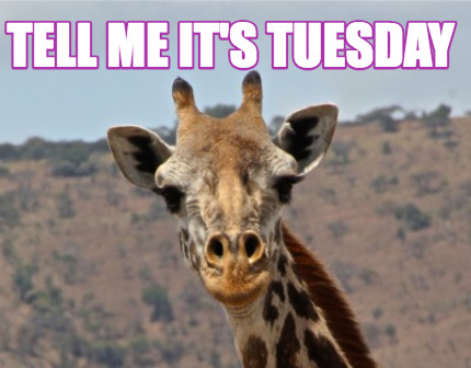 tell-me-its-tuesday