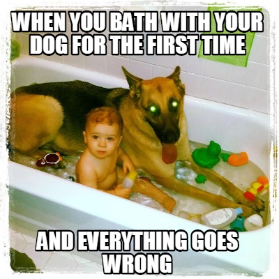 when-you-bath-with-your-dog-for-the-first-time-and-everything-goes-wrong