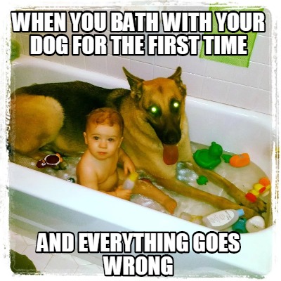 when-you-bath-with-your-dog-for-the-first-time-and-everything-goes-wrong