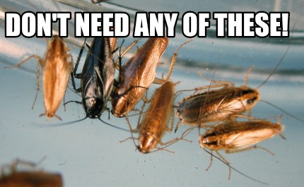 dont-need-any-of-these