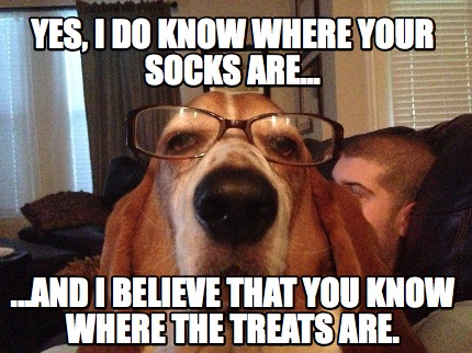 yes-i-do-know-where-your-socks-are...-...and-i-believe-that-you-know-where-the-t