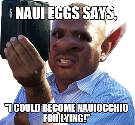 naui-eggs-says-i-could-become-nauiocchio-for-lying