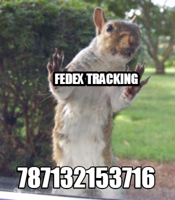 fedex-tracking-787132153716