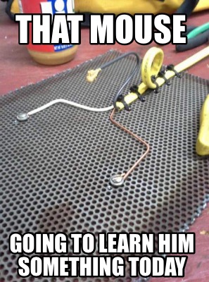 that-mouse-going-to-learn-him-something-today