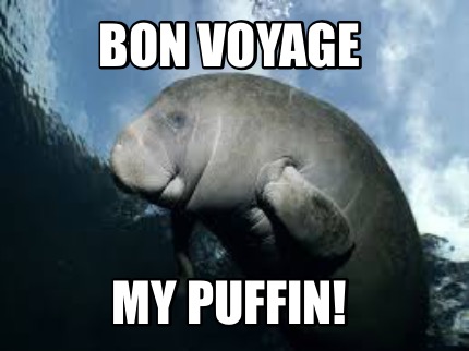 bon-voyage-my-puffin