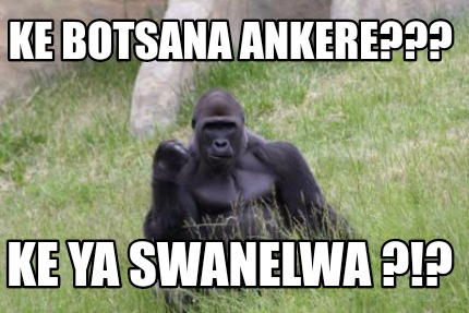ke-botsana-ankere-ke-ya-swanelwa-