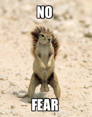 no-fear5