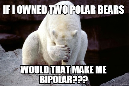 if-i-owned-two-polar-bears-would-that-make-me-bipolar