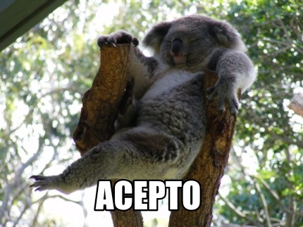 acepto9