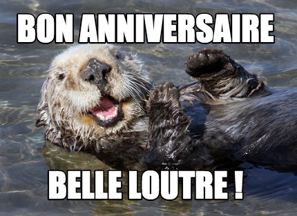 Meme Creator Funny Bon Anniversaire Belle Loutre Meme Generator At Memecreator Org Meme Creator Funny Bon Anniversaire Belle Loutre Meme Generator At Memecreator Org