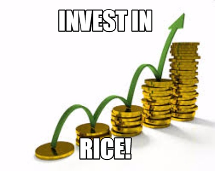 invest-in-rice
