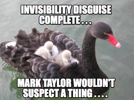 invisibility-disguise-complete-.-.-.-mark-taylor-wouldnt-suspect-a-thing-.-.-.-