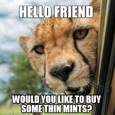 hello-friend-would-you-like-to-buy-some-thin-mints