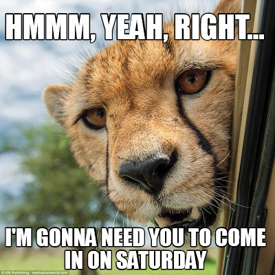 hmmm-yeah-right...-im-gonna-need-you-to-come-in-on-saturday