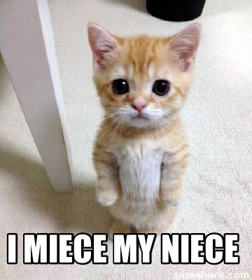 Meme Creator - Funny i miece my niece Meme Generator at ! Meme Creator - Funny i miece my niece Meme Generator at !