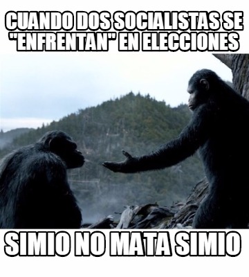 cuando-dos-socialistas-se-enfrentan-en-elecciones-simio-no-mata-simio6