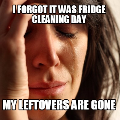 i-forgot-it-was-fridge-cleaning-day-my-leftovers-are-gone