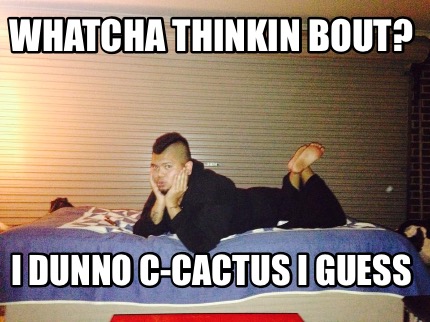 whatcha-thinkin-bout-i-dunno-c-cactus-i-guess