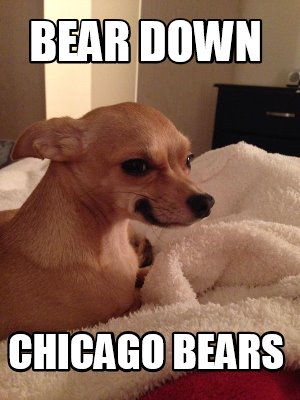 bear-down-chicago-bears