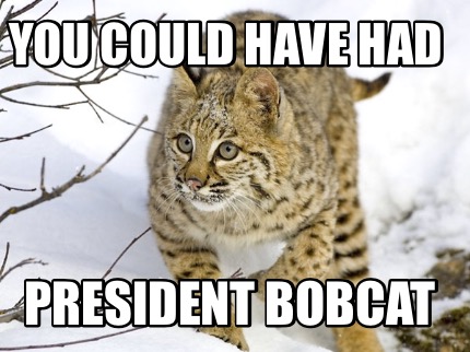 you-could-have-had-president-bobcat