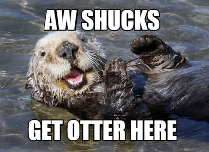 aw-shucks-get-otter-here