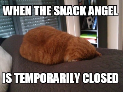 when-the-snack-angel-is-temporarily-closed