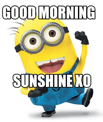 Meme Creator Funny Good Morning Sunshine Xo Meme Generator At.