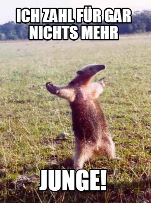 ich-zahl-fr-gar-nichts-mehr-junge