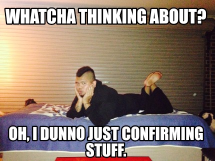 whatcha-thinking-about-oh-i-dunno-just-confirming-stuff