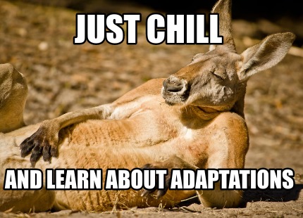 Meme Creator - Funny Just chill and learn about adaptations Meme Generator at ! Meme Creator - Funny Just chill and learn about adaptations Meme Generator at !