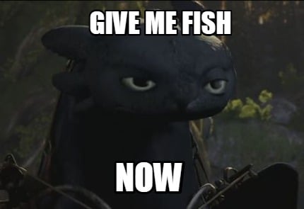 give-me-fish-now