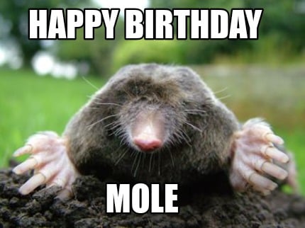 happy-birthday-mole7