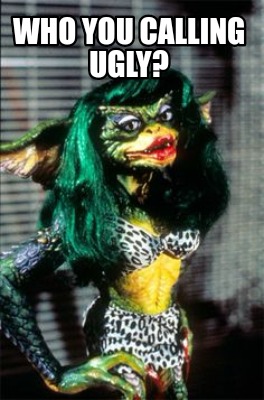 who-you-calling-ugly