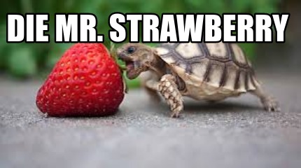 die-mr.-strawberry