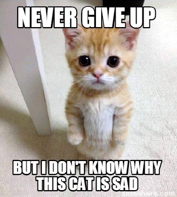 Meme Creator Funny Never Give Up But I Don T Know Why This Cat