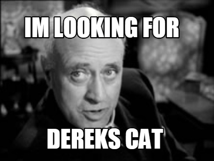 im-looking-for-dereks-cat