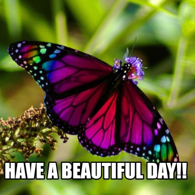 Meme Creator - Funny Have a beautiful day!! Meme Generator at ! Meme Creator - Funny Have a beautiful day!! Meme Generator at !