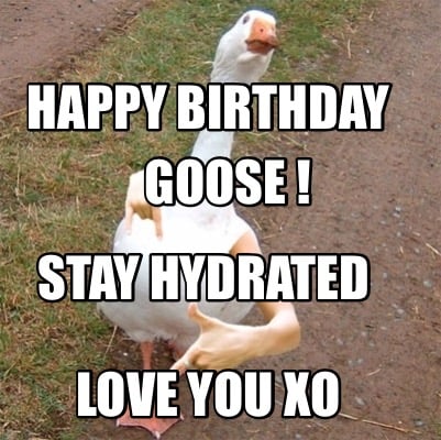 happy-birthday-goose-love-you-xo-stay-hydrated
