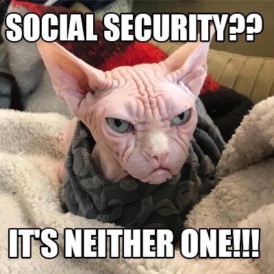 social-security-its-neither-one