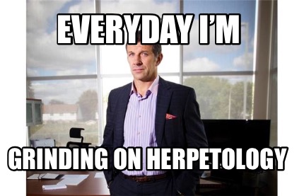 everyday-im-grinding-on-herpetology