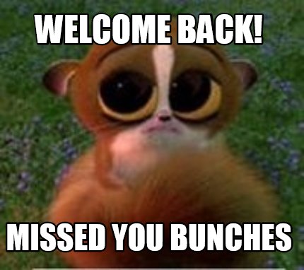 Meme Creator Funny Welcome Back Missed You Bunches Meme Generator At Memecreator Org