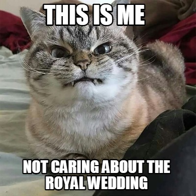 this-is-me-not-caring-about-the-royal-wedding