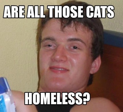 Meme Creator Funny Are All Those Cats Homeless Meme Generator