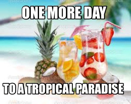 Meme Creator Funny One More Day To A Tropical Paradise Meme Generator At Memecreator Org Meme Creator Funny One More Day To A Tropical Paradise Meme Generator At Memecreator Org