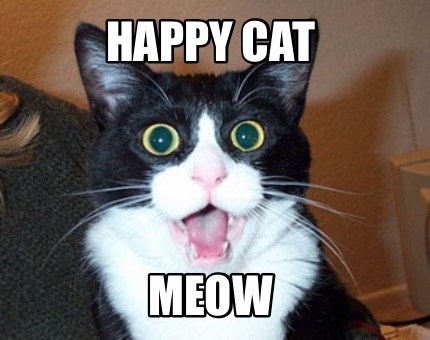 happy-cat-meow